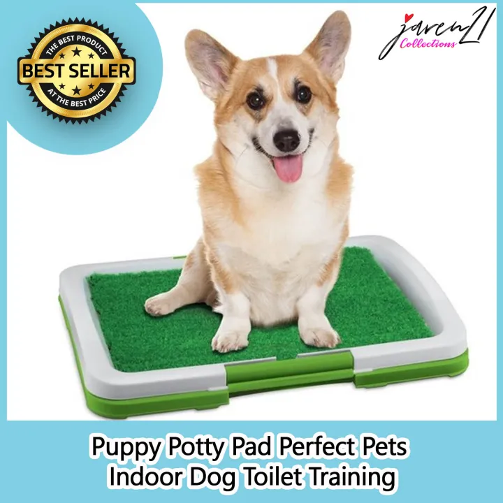 Puppy Potty Trainer or Pad Perfect Pets Indoor Dog Toilet Training