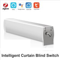 【YD】 Tuya Zigbee WiFi Curtain Motor Electric Tools for