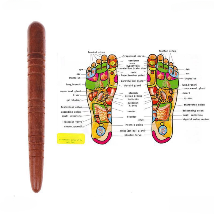 hailicare-เครื่องมือในการรักษาร่างกายผ่อนคลายเพื่อสุขภาพนวดแผนไทยเมอริเดียนเครื่องมือไม้สำหรับนวดนวดกดฝ่าเท้าดูแลสุขภาพ