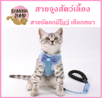 BJ Pet - สายจูงสัตว์เลี้ยง สายรัดอก มีโบว์ เชือกหนา สายจูงหมา สายจูงแมว สายจูง สำหรับสัตว์เลี้ยง สายจูงมีเสื้อ