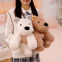 [COD] Dog Children Birthday Wholesale