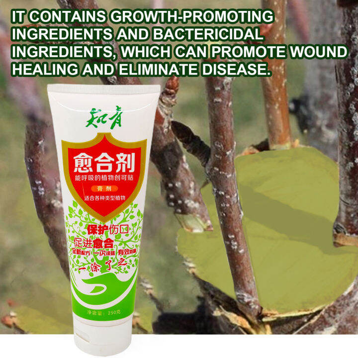 muduan Plant Wound Healing Paste Plant Wound Agent Efficient Tree
