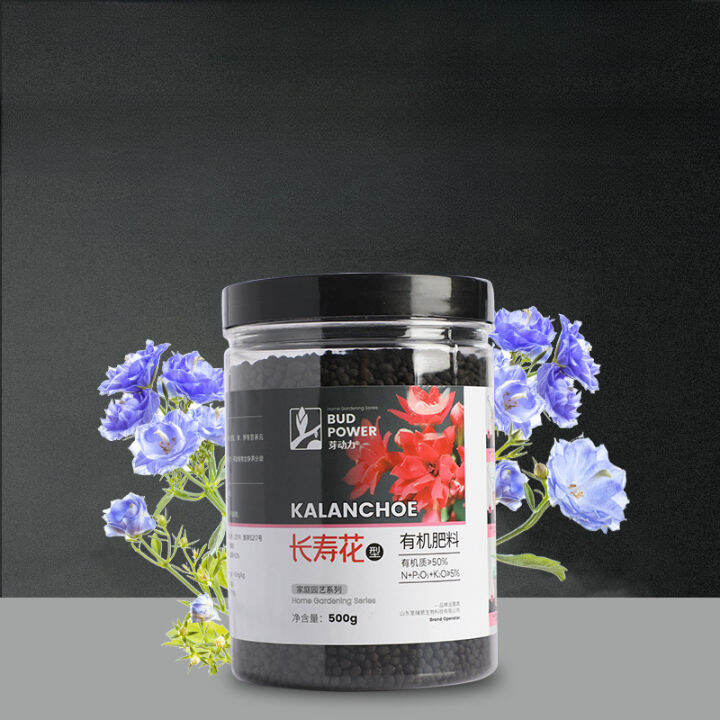 2023.Kalanchoe Blossfeldiana Fertilizer Special Fertilizer Household