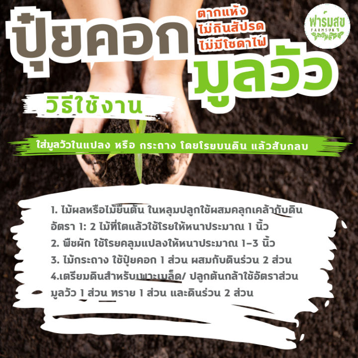 ปุ๋ยคอก-มูลวัวนม-2-กิโลกรัม-ขี้วัวนมแท้-100-ขี้วัวนมจากฟาร์ม