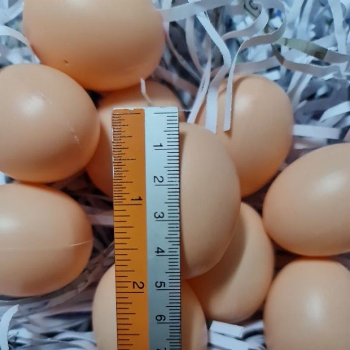 ซิ้อ10-แถม-1-ไข่ไก่ปลอม-ไข่ไก่ของเล่น-ไข่ของเล่น-ไข่เป็ดปลอม-ไข่ไก่พลาสติก-จำลองขนาดเท่าของจริง