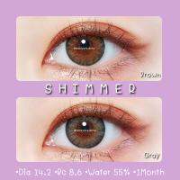 ?Shimmer-Brown•Gray☆สายตา00-1000☆รายเดือน