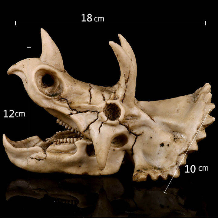 japan-โมเดล-หัวกะโหลก-triceratops-ไทรเซอราทอปส์-ไดโนเสาร์-dinosaur-สุดโหด-วัสดุ-เรซิ่น-resin-กะโหลกผี-skull-ตกแต่งบ้าน-ปาร์ตี้ฮาโลวีน-halloween-โครงกระดูก-หัวกะโหลกจำลอง-ของขวัญ-gift-limited-edition-ข