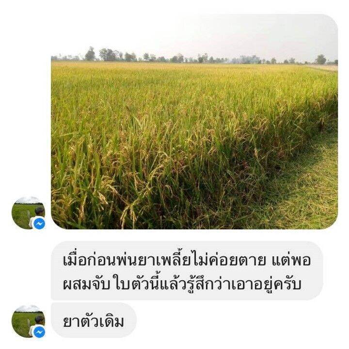 สารจับใบ-ไบโอนิก-สูตรเข้มข้น-แพค-2-ลิตร-ส่งฟรี