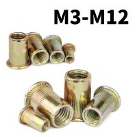 Color-plated Zinc Carbon Steel Flat Head Nuts M3 M4 M5 M6 M8 M10 M12 Rivet Insert Rivet Nuts Striped Anchor Cap Rivet Nuts