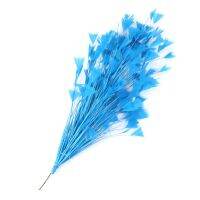 Feathers Wedding Decoration Dyed Colorful 30cm Feather Trim for Costume Accessory 1 Pcs