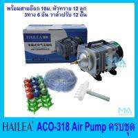 ( สุดคุ้ม+++ ) ปั้มลมลูกสูบ ครบชุด HAILEA ACO-318 พร้อมสายอ๊อก 10 เมตร รวมหัวทราย 12 ลูก(คละสี) สามทาง 6 ตัว วาล์วปรับแรงลม 12 ตัว ราคาถูก วาล์ว ควบคุม ทิศทาง วาล์ว ไฮ ด รอ ลิ ก วาล์ว ทาง เดียว วาล์ว กัน กลับ pvc