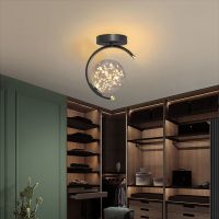 ZZOOI Creative Led Ceiling Light For Bedroom Led Ceiling Chandelier Living Room Dining Room Hallway Kitchen Lamps For Corridor Lusters