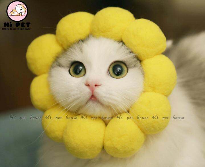 milly-house-อุปกรณ์สัตว์เลี้ยง-pet-headdress-sunflower-ดอกทานตะวันหมวกแมว-หมวกสุนัข-สร้อยคอแมว-สร้อยคอสุนัข-l-10-20