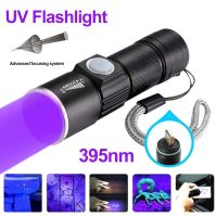 ไฟฉายแสงสีม่วง UV Flashlight Blacklight USB Rechargeable LED 395Nm