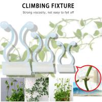 10Pcs Invisible Wall Vines Fixture ClipsPlant Climbing Wall Sticky Plastic Cable Storage HookSelf-adhesive Garden Balcony Decoration Fixer Holder