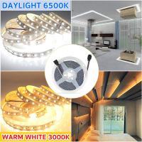 Bewon ไฟเส้น LEDs 300 เม็ด กันน้ำ IP 65 ระบบ DC12V 9W สีขาว Waterproof นิ่ง ยาว 5 เมตร (60 เม็ด/เมตร)