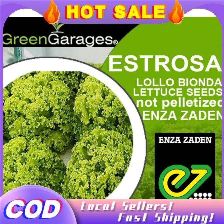 【codready】 Estrosa Lettuce Lollo Bionda 400 500 Seeds Lazada Ph 3333