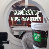 รองพื้นสีขาว รองพื้นหินอ่อน ทำลายหินอ่อน รองพื้น งานตกแต่ง PUW400