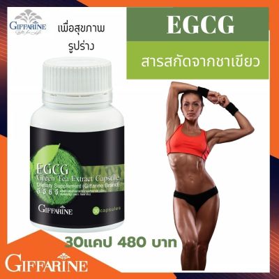 EGCG อี จี ซี จี กิฟฟารีน  กิฟฟารีนชาเขียว  ชาเขียวแคปซูลกิฟฟารีน  EGCG Green Tea Extract Capsule Dietary Supplement (Giffarine Brand)
