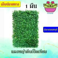 (1ผืน,40x60ซม.) papamami แผงหญ้าเทียม หญ้าตีนเป็ดเทียม หญ้ามิลาน  หญ้าติดรั้วระแนง ไม่บังลม ลมผ่านได้ แผงหญ้าปลอม สวนแนวตั้ง หญ้าบังรั้ว  หญ้าต