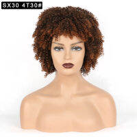 Afro Bouncy Kinkly Curl Synthetic Womens Wigs with Bangs Short Square Wig Natural Hair Heat Resistant Black Brown Highlight Wig