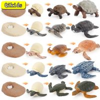 Simulação Tartaruga Animal Oceano Mar Tartaruga Brinquedo Figura Modelo Figuras De Ação Colecognião Brinquedos Edos Edos Edos Edos