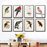 Tropical Bird Watercolor Parrot Poster - Animal Wall Art Canvas Print For Nursery Decoration