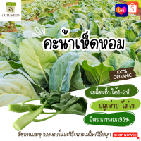 เมล็ดพันธุ์คะน้าเห็ดหอม 300เมล็ด อัตราการงอก95% ปลูกง่าย โตไว (มีของแถมเป็นเมล็ดผักกวางตุ้งทุกออเดอร์)