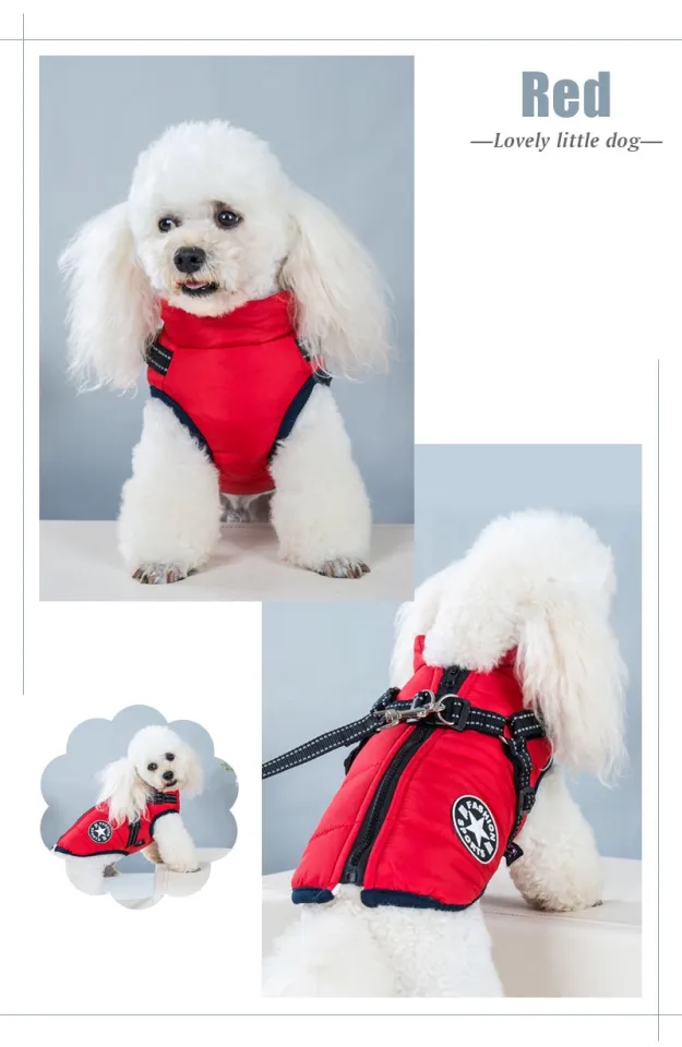 Designer dog clothes on sale wholesale