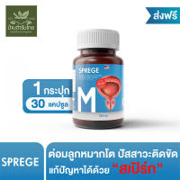 ส่งฟรี!! ถั่งเช่าของแท้ SPREGE สเปิร์ก ต่อมลูกหมากโต ต่อมลูกหมาก ถั่งเช่าแคปซูล อาหารเสริม ชาย (กป.ละ 30 แคปซูล)