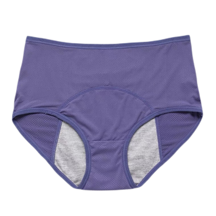 5-pcs-menstrual-panties-women-leak-proof-period-briefs-sexy-mesh-breathable-physiological-underwear-lingerie-ladies