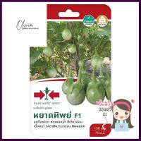 มะเขือเปราะ F1 หยาดทิพย์ ศรแดงGREEN BRINJAL SEED EAST-WEST SEED YHADTHIP F1 **หมดแล้วหมดเลย**