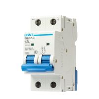 【YF】 CHINT NB1Z-63 2P DC Circuit Breaker MCB breaker 12V 24V 220V FOR PV ( Solar ) system 20A 32A 40A 400V AC