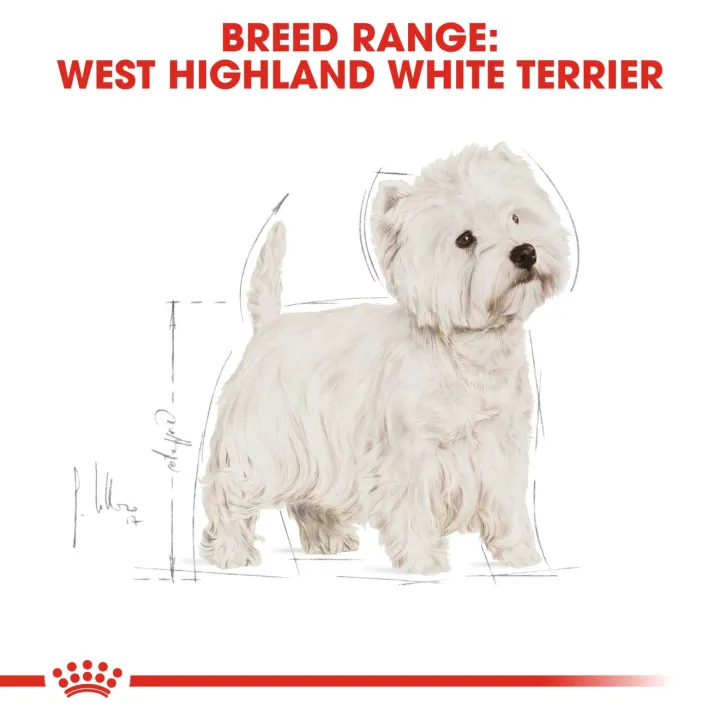 royal-canin-westie-adult-1-5-kg-สุนัขโตพันธุ์เวสท์ตี้-1-5-กก
