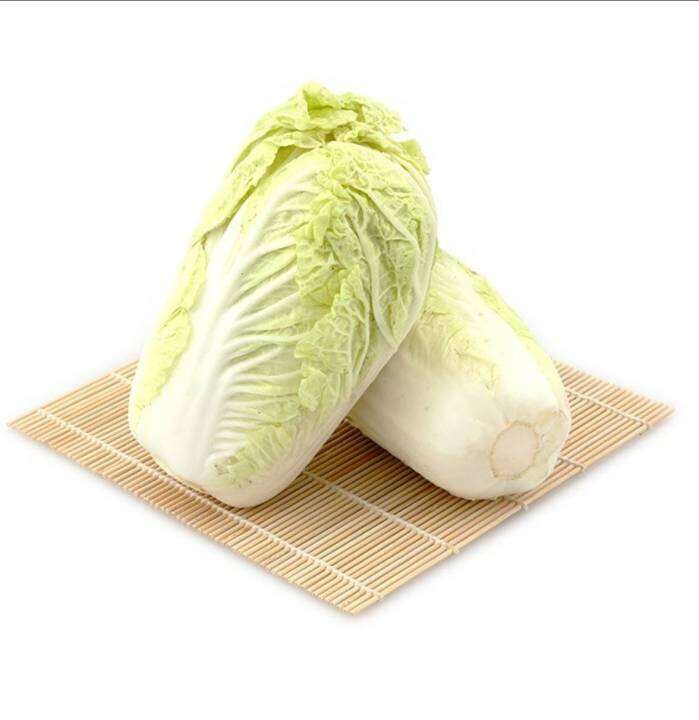 ผักกาด-chinese-cabbage-seeds-ผักกาดขาว-ผักกาดสีส้ม-เมล็ดพันธุ์ผักกาด-สีสันน่าทาน-ปลูกง่าย