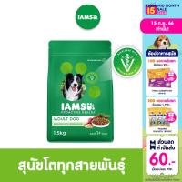 IAMS ไอแอมส์ โปรแอคทีฟ เฮลท์ อาหารสุนัขพรีเมียม - อาหารสุนัขแบบแห้ง สำหรับสุนัขโต, 1.5 กก. อายุ 1 ปีขึ้นไป