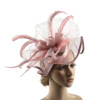 Lady Fascinators Flower Headband with Hair Clip Pillbox Hat Cocktail Tea Party Headwear with Veil and Feather for Women