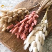 【cw】 50Pcs Dried Tail Bouquet Fluffy Pampas Floral Arrangement Rustic Wedding Table Decoration