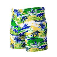 Mens Swimwear Men Trunks Swim Shorts Colorful Print Quick Dry Slim Fit Swimming Trunks for Beach Surf Beachwear Swimwear