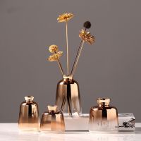 Nordic Gilded Glass Vase Home Decoration Crafts Gold Bottle Transparent Flower Plant Vases Decoration Home Vases for Decoration