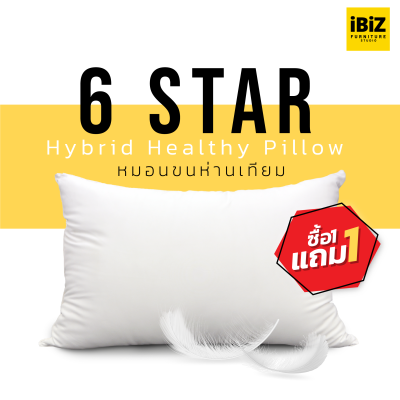 [ซื้อ 1 แถม 1] หมอนหนุนขนห่านโรงแรม 6 ดาว Goose Down Imitation - 6 Star Hybrid Healthy Pillow
