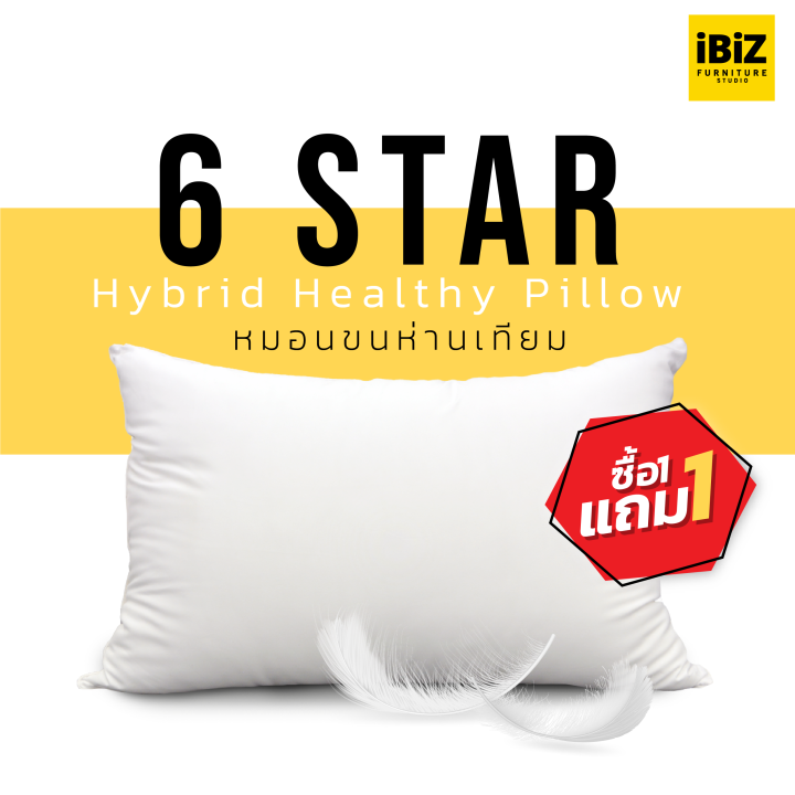 ซื้อ-1-แถม-1-หมอนหนุนขนห่านโรงแรม-6-ดาว-goose-down-imitation-6-star-hybrid-healthy-pillow