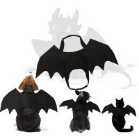 ﹊ Train Dragon Toothless Dog Costume Cosplay Costume Train Dragon - Cosplay Costume - Aliexpress