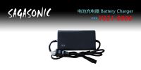 เครื่องชาร์จแบตเตอรี่ SAGASONIC SA-222G