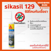 ซิลิโคน กันเชื้อรา Sikasil 129 สีใส และ สีขาว - ซิลิโคนยาแนวรอยต่อสุขภัณฑ์ ซิลิโคนยาแนว ชักโครก อ่างล้างหน้า sika