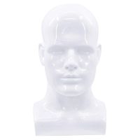 Male Mannequin Head Professional Manikin Head for Display Wigs Hats Headphone Mask