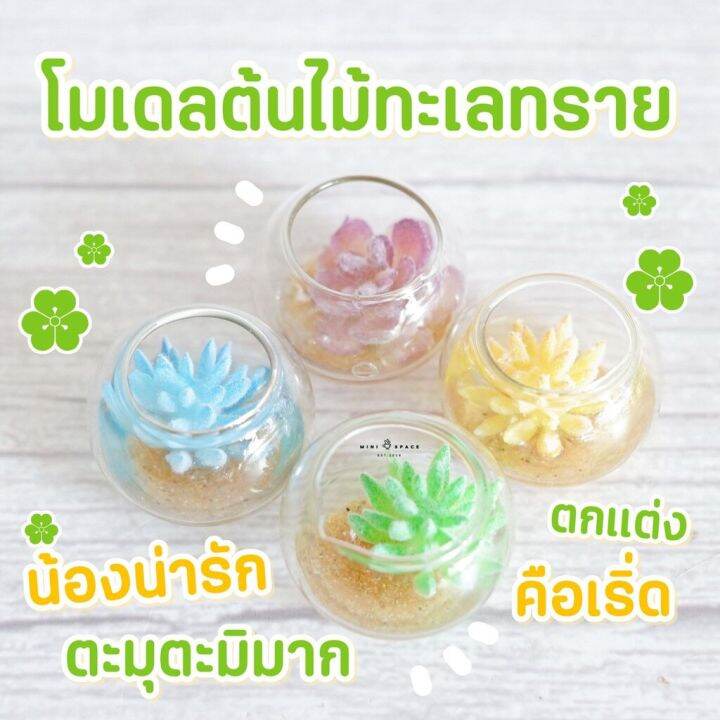 ms5135-โมเดลกระบองเพชรปลอมโหลแก้ว-โหลกระบองเพชร-ถ่ายจากสินค้าจริง-จากไทย