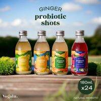 [ขิงหมัก] Ginger Probiotic Shot x 24 ขวด (180ml./ขวด)