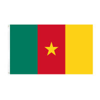 #90*150cm ผู้ผลิตธงแคเมอรูน 3*5ft การจัดหาธงโพลีเอสเตอร์ Cameroun ธงจุด