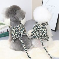 Summer Small Dog Dress Pet Harness with Breast Strap Traction Rope Cat Dogs Clothes Harness Vest Princess Tutu Dress Skirt Dresses